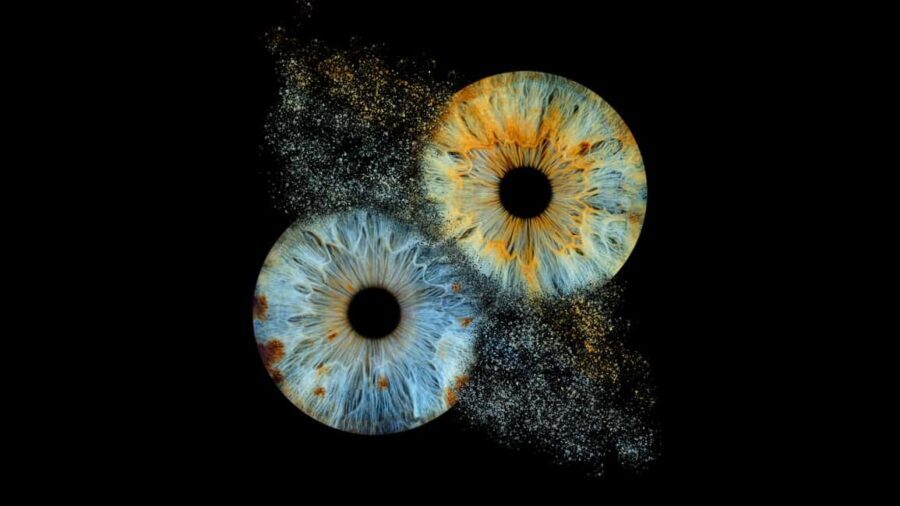 Avignon: Reveal the beauty of your iris with Iris Galerie - The Experience Breakdown