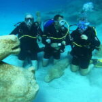 Ayia Napa: Beginners Discover Scuba Diving Experience - The Experience Provider: Pineapple Dive Club