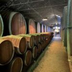 Azeitão: Horseback Riding, Tasting, Farms, and Cristo Rei - What Sets This Tour Apart?