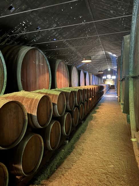 Azeitão: Horseback Riding, Tasting, Farms, and Cristo Rei - What Sets This Tour Apart?