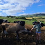 Azores: Half-Day Dairy Farm Tour - The Farm Experience: Hands-On and Educational