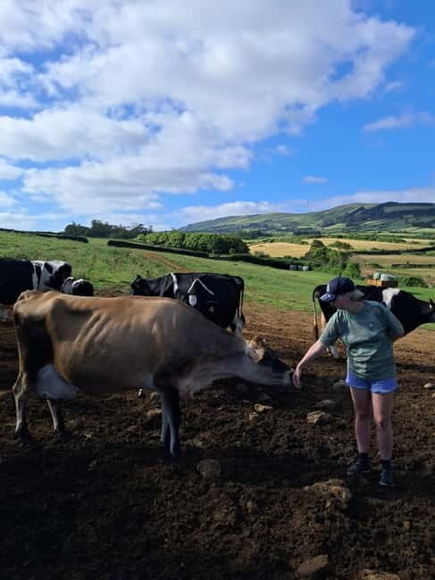 Azores: Half-Day Dairy Farm Tour - The Farm Experience: Hands-On and Educational