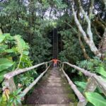 Azores: Janela do Inferno, Caldeira Velha Guided Hiking Tour - The Highlight: Caldeira Velha Thermal Pools