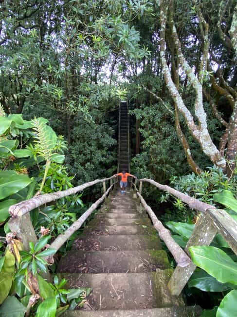 Azores: Janela do Inferno, Caldeira Velha Guided Hiking Tour - The Highlight: Caldeira Velha Thermal Pools