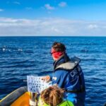 Azores Marine Birdwatching Expedition w/ Biologist Guide - What the Experience Offers
