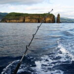 Azores: Ponta Delgada Big Game Fishing Private Tour - Who Will Love This Tour?