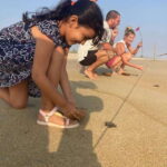 Baby Sea turtles release in Puerto Escondido - Authentic Traveler Insights