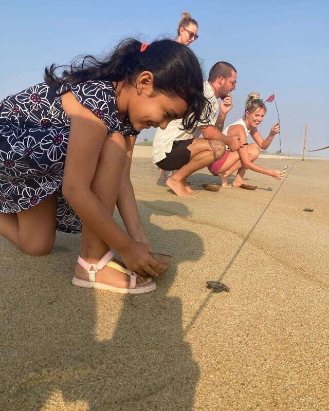 Baby Sea turtles release in Puerto Escondido - Authentic Traveler Insights