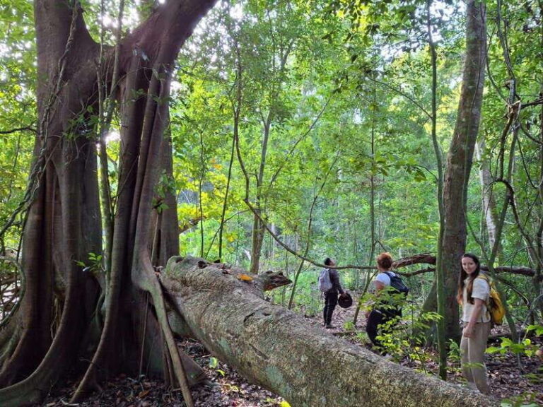 Bacalar: Calakmul Ruins Day Trip with a Stop In The Jungle - Journey from Bacalar: Comfort and Convenience