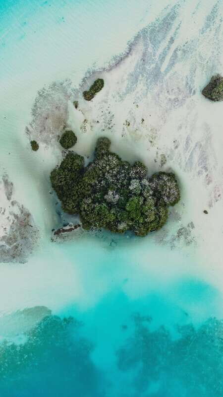 Bacalar & Cenotes: 3 hours kayak rental with snorkeling gear - What to Expect During Your Kayaking Adventure