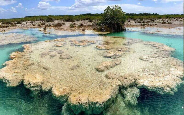 Bacalar: Magnificent Bacalar Lagoon Exclusive Boat Tour - What You Need to Know: Practical Details