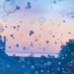 Baden-Baden & Black Forest: ADVENTURE MAGIC BUBBLE SHOW - Practical Tips for Booking