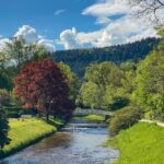 Baden-Baden: Guided tour along Lichtentaler Allee - The Sum Up