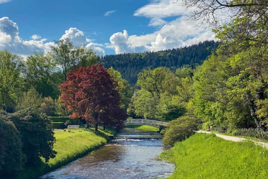 Baden-Baden: Guided tour along Lichtentaler Allee - The Sum Up