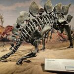 Badlands Tour: Drumheller with Museum, Hoodoos & Coal Mine - FAQs