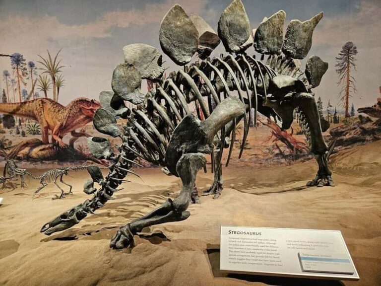 Badlands Tour: Drumheller with Museum, Hoodoos & Coal Mine - FAQs