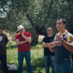 Baeza: Visit to an Organic Olive Grove + Oil Tasting - What to Expect During the Tour