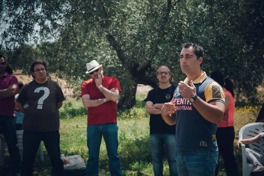 Baeza: Visit to an Organic Olive Grove + Oil Tasting - What to Expect During the Tour