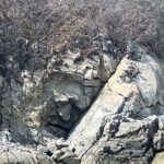 Bahías Experience with a visit to La India Beach - The Itinerary Breakdown