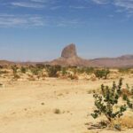 Baja Desert and Beach Electric Bike Adventure with Buffet - Detailed Breakdown of the Day