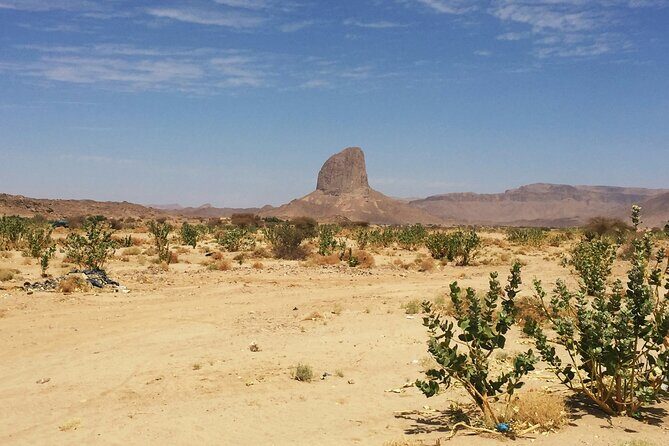 Baja Desert and Beach Electric Bike Adventure with Buffet - Detailed Breakdown of the Day  