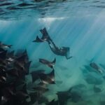 Baja Sur 4 days / 3 nights - Whats Included & Whats Not