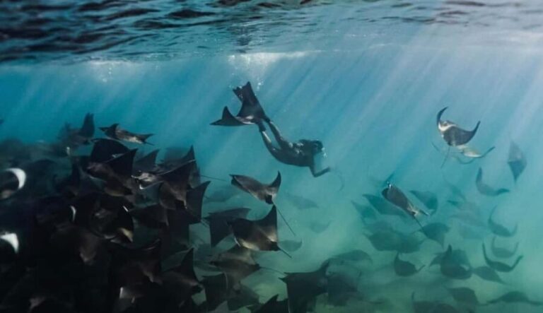 Baja Sur 4 days / 3 nights - Whats Included & Whats Not