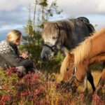 Bakvattnet: Pack horse trekking tour in Blomsterkogen - Good To Know