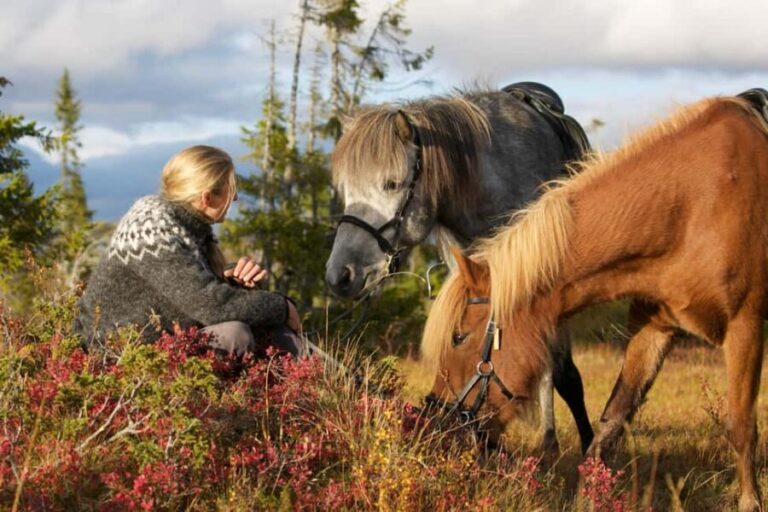 Bakvattnet: Pack horse trekking tour in Blomsterkogen - Good To Know