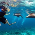 Balandra Bay Snorkeling Adventure - Practical Aspects & Tips for Travelers