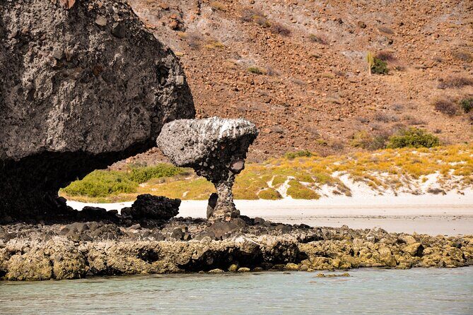 Balandra Beach Escape with Snorkeling and Wildlife Watching - FAQs