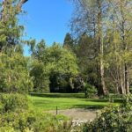 Ballard Locks Walking Activity Seattle - Location and Setting