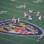Baltimore: Ravens Football Game Ticket at M&T Bank Stadium - The Experience in Detail