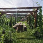 Bamberg: Beer & Brewery Tour - 2 Hour - English Or German - The Experience in Detail