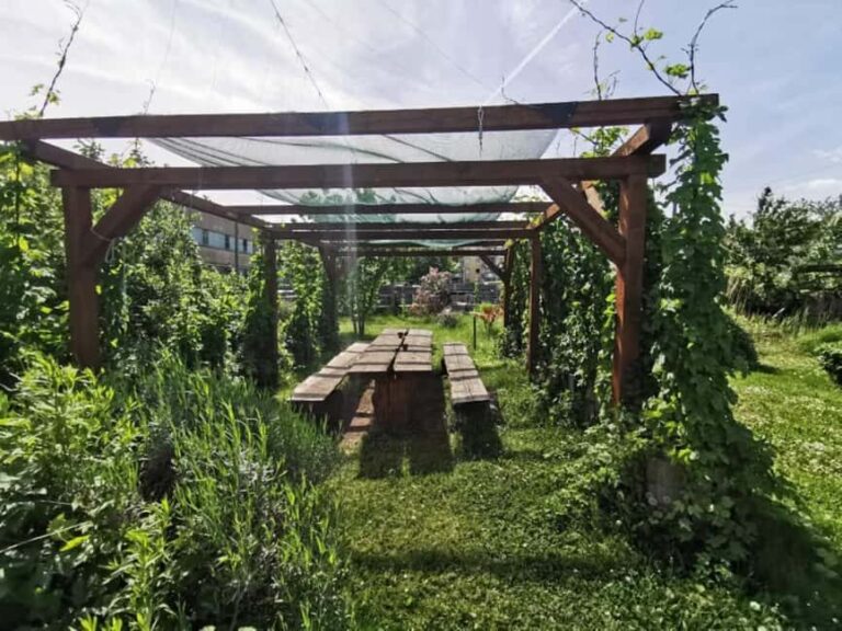 Bamberg: Beer & Brewery Tour - 2 Hour - English Or German - The Experience in Detail