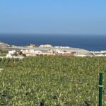 Banana Museum, Rum Distillery & Winery with Tasting: Premium tour - What We Loved About the Experience