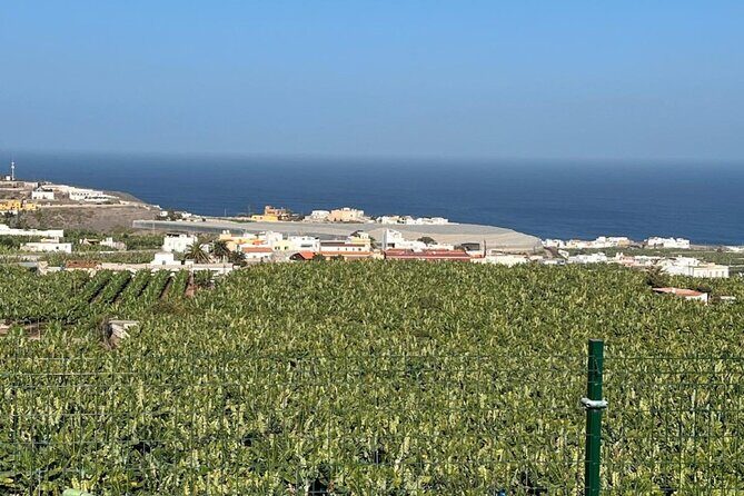 Banana Museum, Rum Distillery & Winery with Tasting: Premium tour - What We Loved About the Experience