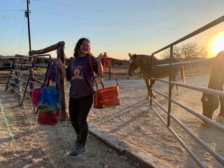 Bandera: Ranch Visit with Longhorns and Horses - Practical Details and What to Expect