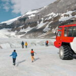 Banff: Columbia Icefield, Skywalk, Parkway, Bow & Peyto Lake - Making the Most of Your Day