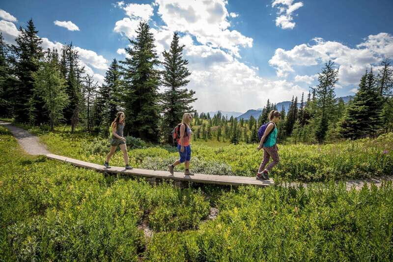 Banff: Edible and Medicinal Plants Nature Walk - The Practical Details: What You Need to Know
