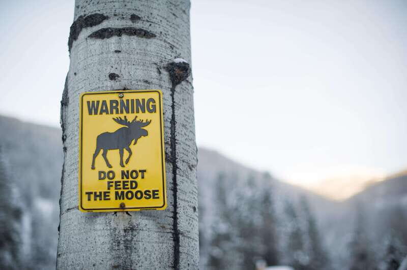 Banff: Explore Winter Nature Walk - Ice Cleats Included 2H - What to Expect During the Tour