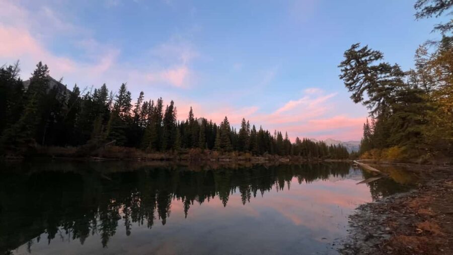 Banff: Grizzly Bear & Nature Walk & Hidden Gem Sunset Tour - Final Thoughts: Is This Tour Worth It?