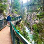 Banff Highlights Tour Louise, Johnston and Minnewanka Shared Tour - Johnston Canyon