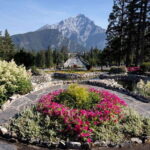 Banff: History Tour with Private Group Museum Tours + Entry - Final Thoughts: Who Is This Tour Best For?