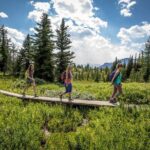 BANFF Medicinal and Edible Plants Nature Walk - 2 Hours - The Itinerary: What to Expect