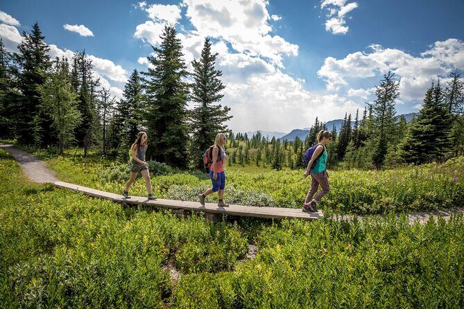 BANFF Medicinal and Edible Plants Nature Walk - 2 Hours - The Itinerary: What to Expect