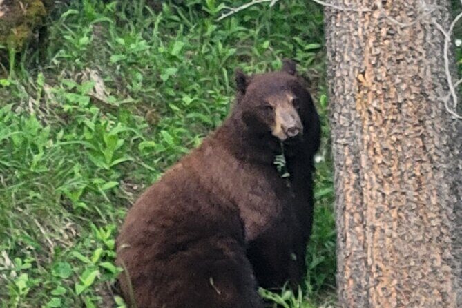 Banff Mountain Adventure with Hiking and Canoeing Options - Final Thoughts