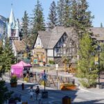 Banff National Park Group Bus Tour Experience - Transportation & Group Size