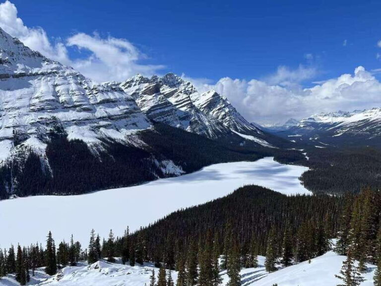 Banff National Park: Lake Louise & Upper Hot Springs Tour - Deep Dive into the Itinerary