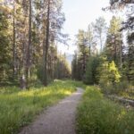 Banff: Private Guided Nature Walk - 2H - FAQ